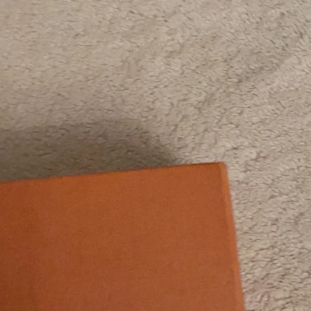 12x8x2,25 Louis Vuitton magnetic closer orange color  used